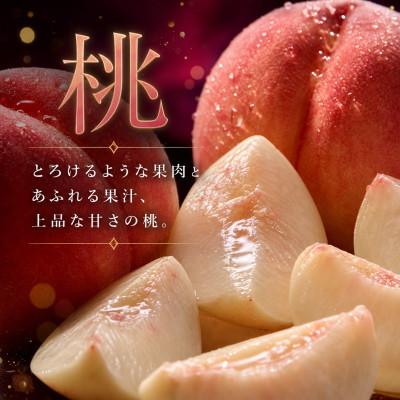 ふるさと納税 紀美野町 【発送月固定定期便】紀州和歌山産旬のフルーツセット(桃・ピオーネ・ひらたねなし柿)全3回 |  | 01