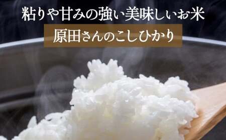 【期間・在庫限定】原田さんのこしひかり 10kg 数量限定 精米 お米 米 こめ コメ 白米 こしひかり コシヒカリ ブランド米 ごはん ゴハン ご飯 米 米 米 米 米 米