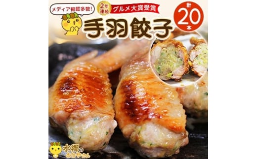 ＜毎月定期便＞8秒に1本売れてます!手羽先餃子20本セット! 全3回【4051486】