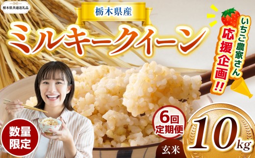 【栃木県共通返礼品】【先行予約】【定期6回】 訳あり 数量 限定 定期便 令和8年度産 ミルキークイーン 約 10kg | とちぎの星 ミルキークイーン お米 kome okome ご飯 米 玄米 白米 ごはん おいしい ふるさと納税 那珂川町 栃木県 送料無料