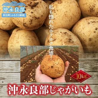 【先行予約】私も惚れたホクホク食感!まるとよ農産の「沖永良部じゃがいも」10キロ!【1月下旬～5月下旬】