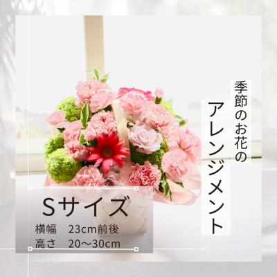ふるさと納税 筑西市 季節のお花のアレンジメントSサイズ〜花瓶不要!届いてそのまま飾れるフラワーアレンジ