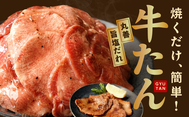 【氷温熟成×旨塩ダレ】牛たん 500g スライス 小分け 250g×2P 焼肉用 訳あり サイズ不揃い mrz0023