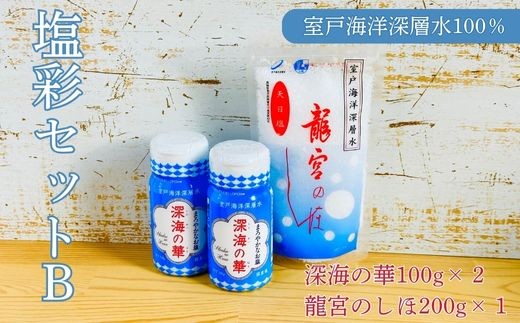 
                  塩彩セット b  計400g 小分け 調味料 塩 塩分 熱中症対策 海洋深層水使用 天日塩 国産 結晶 うまみ バーベキュー BBQ キャンプ グランピング おにぎり 天ぷら フライドポテト
                