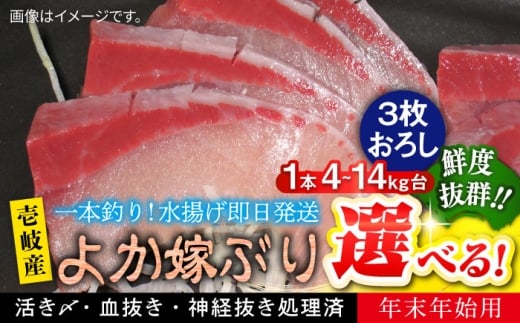 【12/20～翌1/5お届け】壱岐島産天然寒ブリ よか嫁ぶり（10キロ台・3枚おろし）《壱岐市》【壱岐島 玄海屋】 [JBS147]