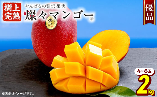 
                  【2027年7月上旬から順次発送・優品】燦々マンゴー2.0kg(4～6玉)_アップルマンゴー アーウィンマンゴー 沖縄 家庭用 規格外 贈答用 ギフト 果物 完熟 南国 フルーツ 期間限定 数量限定 沖縄県産 農家直送 お中元【1619777】
                