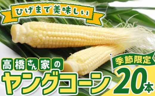 【予約受付 R9年 6月下旬 発送開始予定】髙橋さんの ヤングコーン 20本  2027年度 国産 野菜 岩手県 北上市 夏 旬 季節限定 やさい ベビーコーン 岩手 とうもろこし A0221 食材 夏野菜