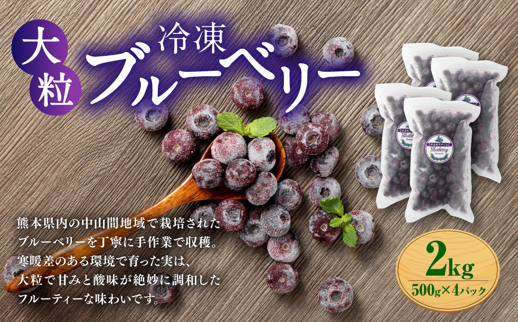 
            熊本県産 大粒 冷凍ブルーベリー 2kg（500g×4パック） 【2025年7月上旬発送開始】  フルーツ 果物 くだもの 冷凍 ブルーベリー 国産
          