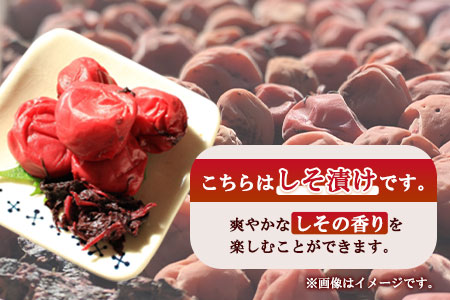 うめぼし 800g (しそ漬け)《30日以内に順次出荷(土日祝除く)》熊本県 葦北郡 津奈木町 梅 梅干し 天日干し みのり農園
