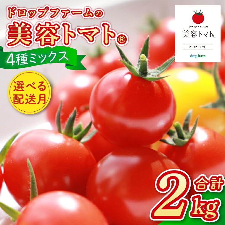 【ふるさと納税】選べる配送月 10月～6月発送 ドロップファームの美容トマト おまかせ2kg箱(4種ミックス) とまと フルーツトマト 野菜ソムリエ 朝採れ アイコ イエローアイコ 小鈴 フルティカ 野菜 フレッシュ リコピン 大容量 茨城県 水戸市 （CK-102）
