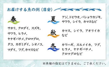 【3回定期便】【冷蔵】氷見の海鮮 お刺身詰め合わせ 5種（サク）4,5人前 〈初回醤油付〉　刺身