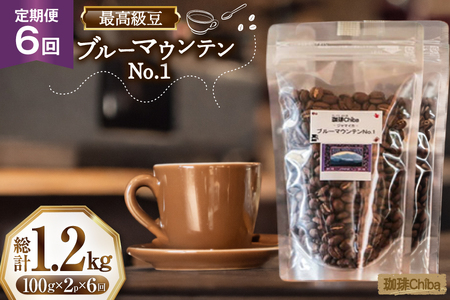 【6回定期便】 コーヒー豆 ブルーマウンテン 100g 2パック [珈琲Chiba 福岡県 筑紫野市 21761424]