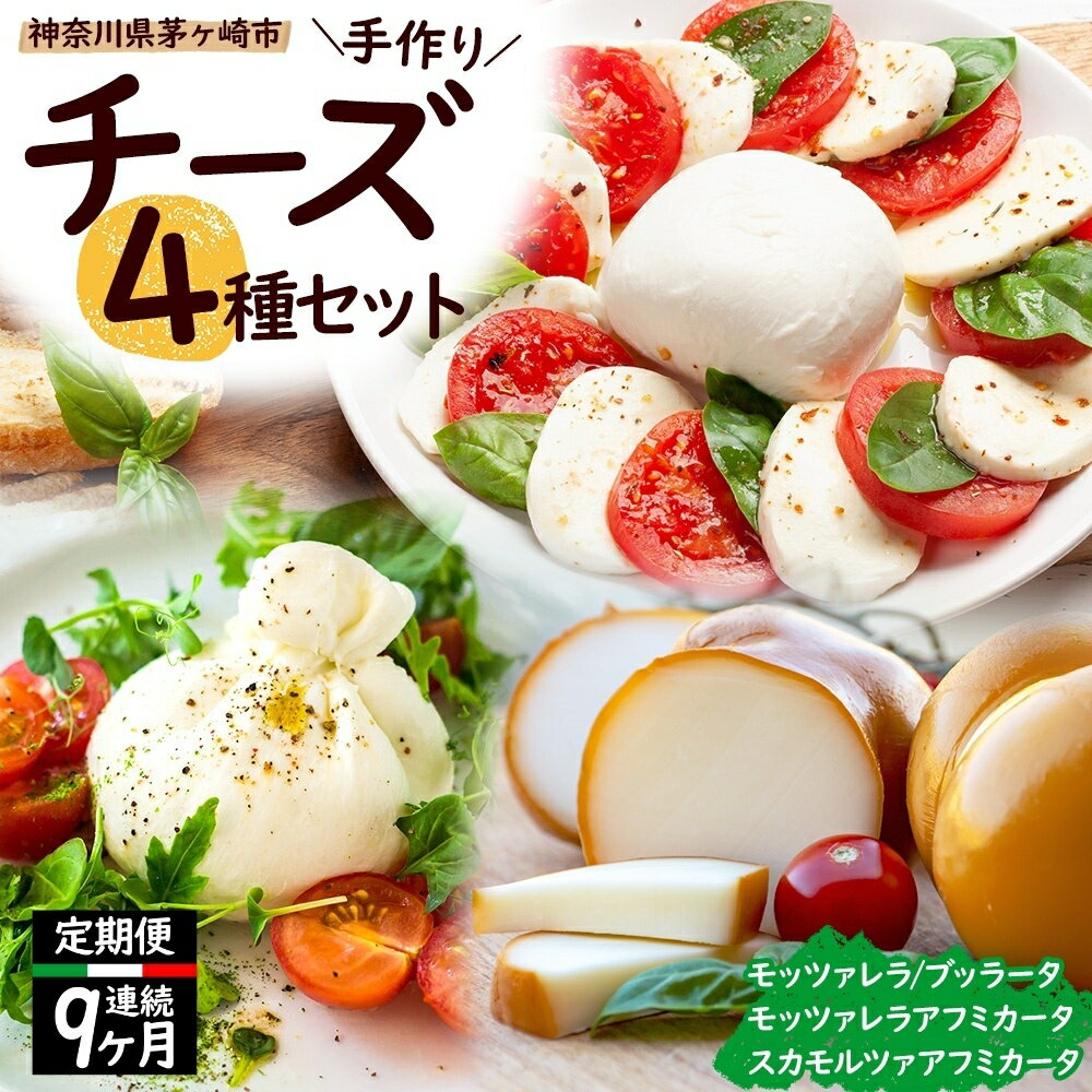 【ふるさと納税】【 9ヶ月定期便】チーズ 4種 詰め合わせ 各1個 Osteria e Bottega S モッツァレラチーズ ブラッターチーズ スカモルツァアフミカータ 神奈川県 茅ケ崎市 乳製品 牛乳 手作業 ミルク 銀賞 幻のチーズ スモーク 塩漬け 美味しい おつまみ ピザ　定期便