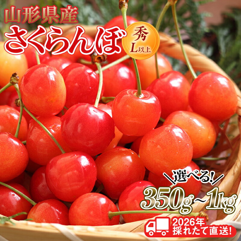 【ふるさと納税】≪2026年先行予約≫山形県産 さくらんぼ 品種おまかせ(佐藤錦・紅秀峰など)《 350g～1kg 》 秀/L以上 バラパック詰め 2026年6月中旬頃より発送 果物 くだもの フルーツ 夏果実 サクランボ チェリー 桜桃 贈答 ギフト プレゼント 産地直送 FYN6-250var