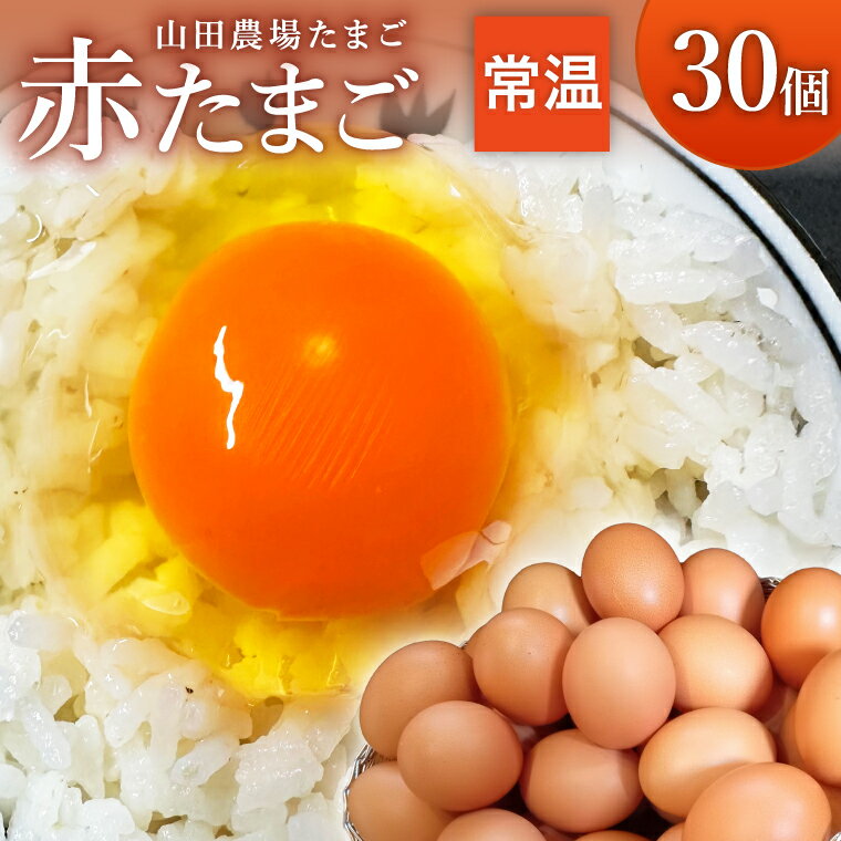 【ふるさと納税】山田農場たまごの赤たまご30個（27個+割れ保証3個）【常温】【選べる発送時期】＜30日以内・1月・4月・11月発送＞/卵 タマゴ 玉子 鶏卵 生卵 生たまご 楽天限定