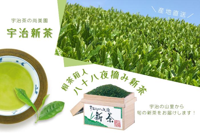 【2025年先行受付 宇治新茶】桐茶箱入り八十八夜摘み新茶(250ｇ×2袋)〈新茶 お茶 茶 緑茶 煎茶 茶葉 八十八夜 宇治茶 桐箱 飲料 日本茶 縁起物 加工食品〉 