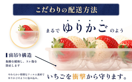 【受注後、随時発送！】【北海道産】ゆきいちご（紅ほっぺor恋みのり） ２Pセット 各250g×２ 計500g【59005】