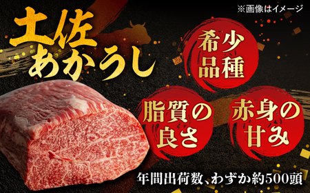 【6回定期便】高知土佐あかうしビーフカレー 10食セット/ レトルト カレー あか牛 土佐あかうし 牛肉 牛カレー 保存食 常備 人気 おすすめ 高知市 【株式会社 四国健商】[ATAF138]