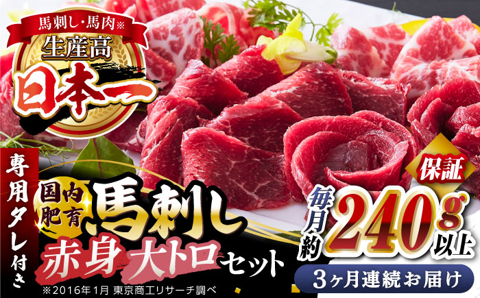 【全3回定期便】国内肥育 馬刺し 大トロ霜降り 赤身セット 約240g以上保証 ( 大トロ霜降り 赤身 ) 専用タレ付き 熊本 山都町 冷凍 馬肉 馬刺 ヘルシー 小分け【有限会社 丸重ミート】[YAK017]