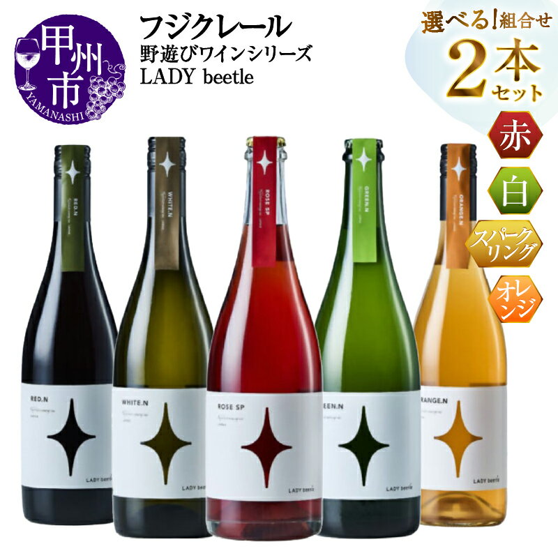 【ふるさと納税】 ワイン 赤 白 ロゼ スパークリング オレンジ 選べる お届け内容 組合せ 750ml 2本 セット フジクレール 野遊びワイン LADY beetle 飲み比べ 酒 お酒 アルコール 山梨 母の日 父の日 記念日 ギフト 山梨県 甲州市 （MG）