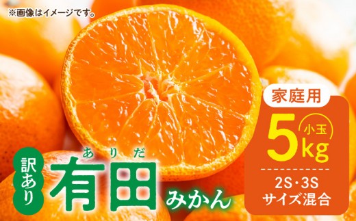 
                  【ふるさと納税】【2026年先行予約】 ご家庭用 有田みかん 和歌山 小玉(2S,3Sサイズ混合) 約5kg_DZ6205
                