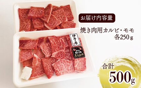 伊予牛絹の味 焼肉用 カルビ・モモ 500g (冷凍)　 伊予牛 焼き肉 カルビ モモ 黒毛和牛