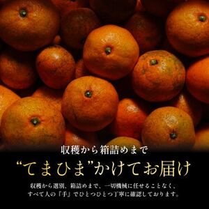 【訳ありだけど美味しさそのまま】愛媛みかん 11kg 愛媛県産【C70-136】【1686736】