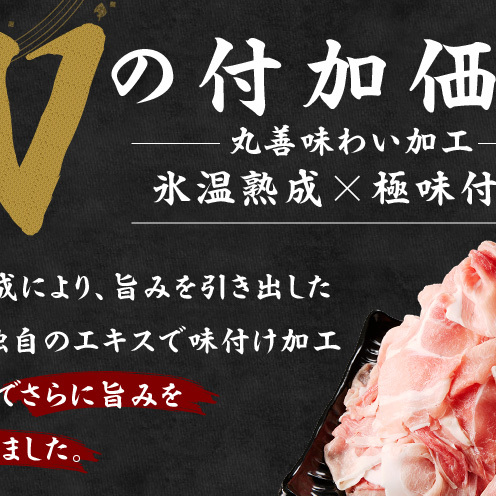 【期間限定】国産 豚肉 切り落とし 5kg【スピード発送 氷温熟成×極味付け 500g×10P ぶたにく 普段使い 野菜炒め 訳あり サイズ不揃い】 mrz0512_イメージ2