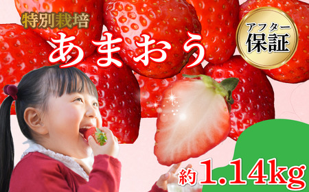 【2027年2月発送】 訳あり 福岡県産 あまおう 約285g×4P 約1.1kg いちご 苺 イチゴ 期間限定 ULU
