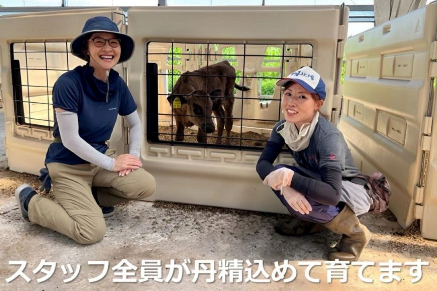 ＜定期便＞松阪牛の品評会で最優秀賞受賞歴のある 加藤牧場の黒毛和牛 ロース・肩ロース 1kg　【５回発送】/ 牛肉　国産牛　黒毛和牛　ロース　肩ロース　肉　上質　人気　おすすめ　三重県　四日市市　ふる