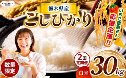 【定期2回】数量 限定  訳あり 定期便 令和8年度 栃木県産 コシヒカリ 約 30kg | 数量限定 こしひかり  精米 白米 米 ごはん おいしい okome kome お米 コシヒカリ ふるさと納税 那珂川町 栃木県【栃木県共通返礼品】