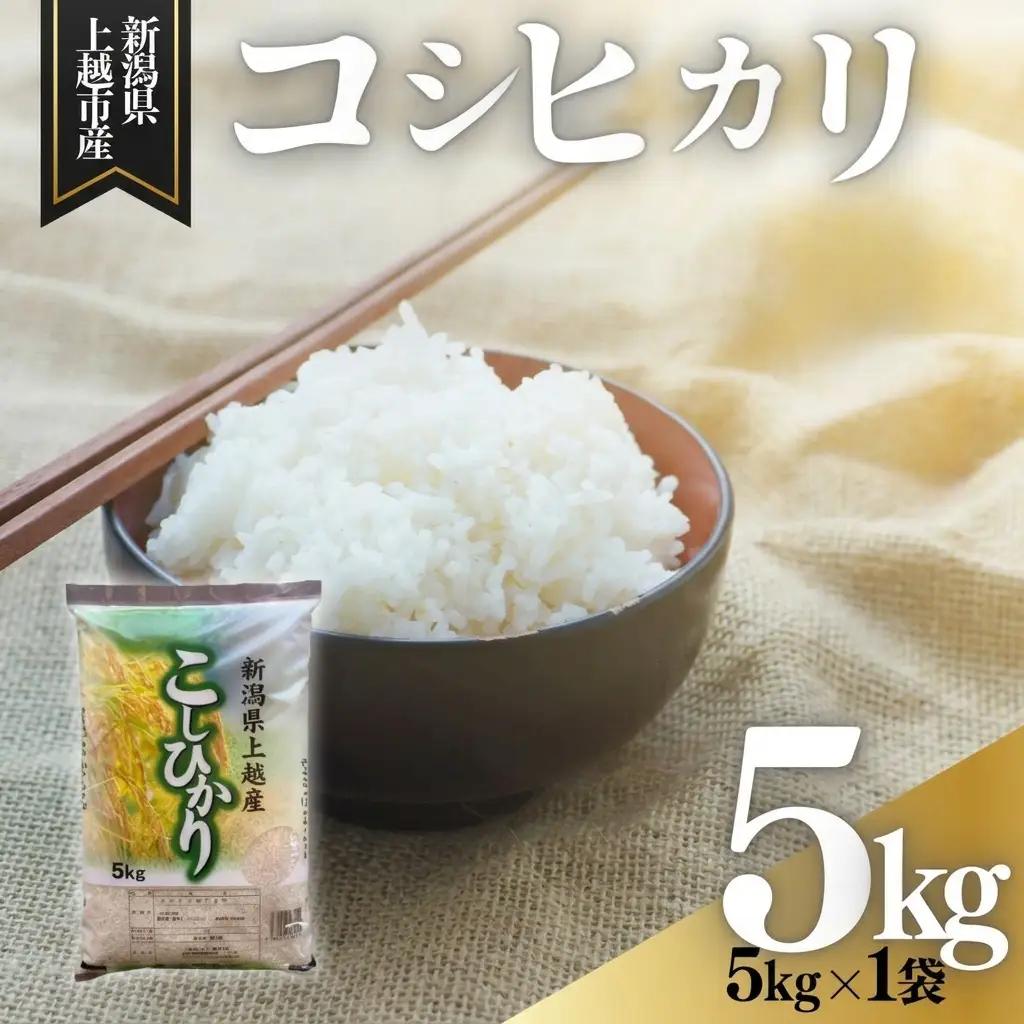 【9月中旬配送】上越市産 新潟 コシヒカリ 5kg こしひかり お米 精米 米 ご飯
