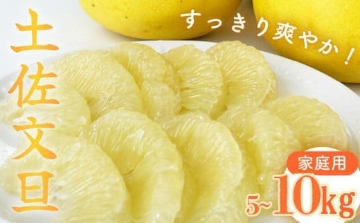 
                  【早期予約 2027年2月中旬より順次発送】 文旦 5 ~ 10kg 高知県産 柑橘 フルーツ 文旦 ぶんたん ブンタン 5kg 10kg 分担 果物 みかん 文旦 産地直送 高知県 須崎 須崎市 南国高知からの贈り物
                