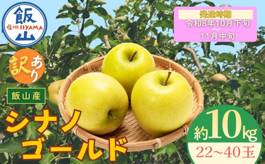 【先行予約丨2026年10月下旬より順次発送】訳あり シナノゴールド【約10kg(22〜40玉)】(At-025)丨長野県 飯山市 おすすめ ランキング おいしい 高評価 大人気 先取り 産地直送 りんご 訳あり 規格外