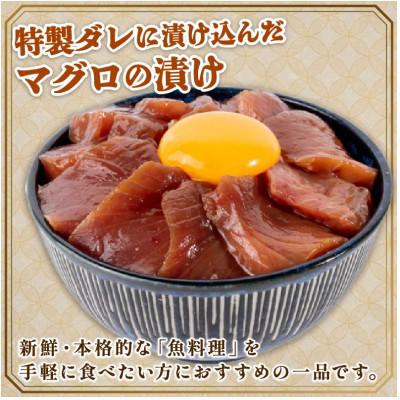 ふるさと納税 安芸市 マグロ 漬丼 90g×10パック