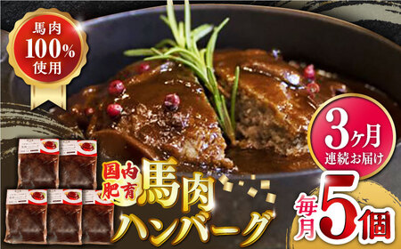 【全3回定期便】国内肥育 冷凍 馬肉ハンバーグ 計1kg ( 200g × 5個 ) デミグラスソース入り 小分け 個包装 惣菜 湯煎 熊本【有限会社 丸重ミート】[YAK025]