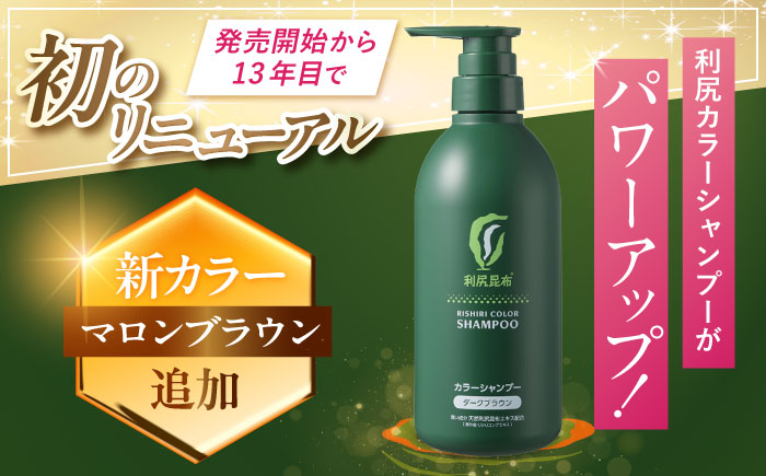 ［白髪用］ 利尻カラーシャンプー 大容量サイズ 糸島市 / 株式会社ピュール ヘアケア シャンプー [AZA065] シャンプー 白髪染め カラーシャンプー 無添加 ノンシリコン 大容量