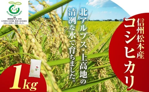 【10月から発送】 新米 令和7年産 信州松本産コシヒカリ 1kg │信州 長野県 松本市 コシヒカリ 1kg 米 こめ コメ 白米 精米 ごはん 贈り物 風味