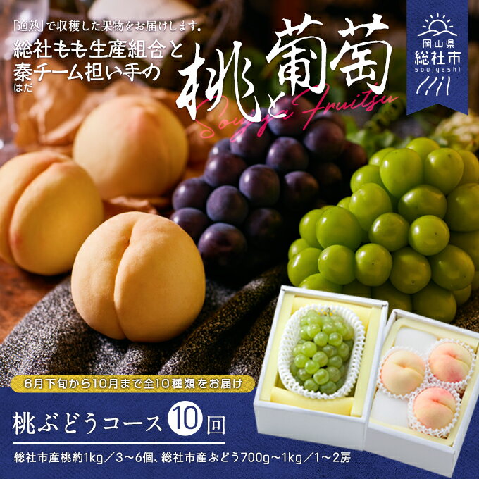 【ふるさと納税】【2025年産先行予約】もも 桃 岡山県 白桃 ぶどう 葡萄 桃ぶどうコース 10種（全10回）定期便 岡山県 総社市産 25-150-002