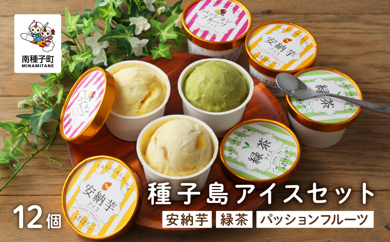 種子島アイスセット12個 【乳化剤・安定剤不使用】【新栄物産】