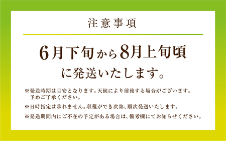 先行予約 数量限定 野菜ソムリエ推薦渥美半島伊良湖潮風育ちマスクメロン3玉大玉サイズ(5.5～6キロ)カラーギフト箱入り 2024年６月下旬～８月上旬発送 田原市 伊良湖産 ギフト プレゼント お取り