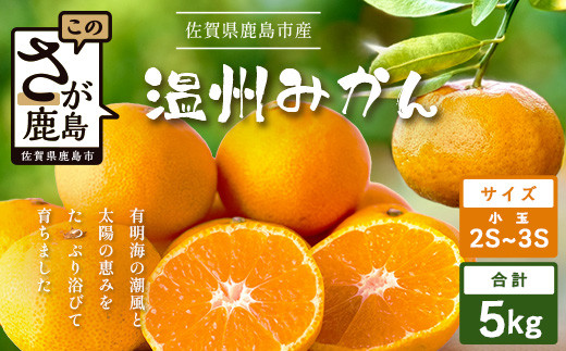 先行予約 温州みかん 小玉(SS,3S)5kg【数量限定】2026年11月上旬頃から12月中旬頃の発送予定 有明海の潮風で育った鹿島産みかん A-205
