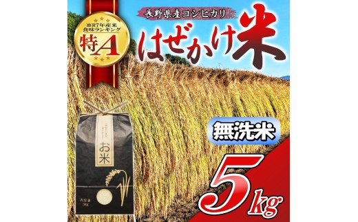 【令和7年産・無洗米５kg】長野県産こしひかり はぜかけ米（北海道・沖縄県・離島は配送不可）産地直送 信州 長野県 佐久市 美味しい うるち米