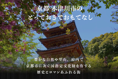 専門店のとり肉と京ジビエ、京野菜を【東京品川】で味わうペアリング3杯付き2名様イタリアン食事券 064-21