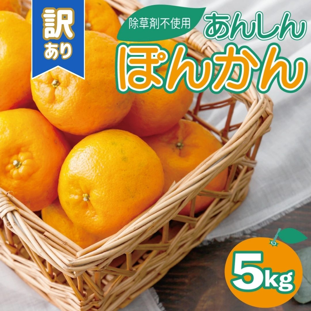 【ふるさと納税】 ＜先行予約＞訳ありポンカン 5kg 国産 東洋町産 甘酸っぱい 甘い 果汁 ジューシー 高知県 東洋町 四国 お取り寄せ フルーツ 蜜柑 ミカン 果物 送料無料 TS-03