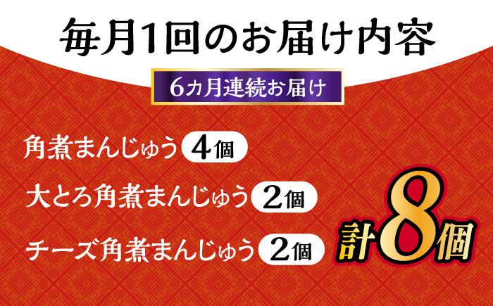 【6回定期便】角煮 まんじゅう 三種 食べくらべ セット 計48個（箱）岩崎本舗 大村市 [ACAH064]