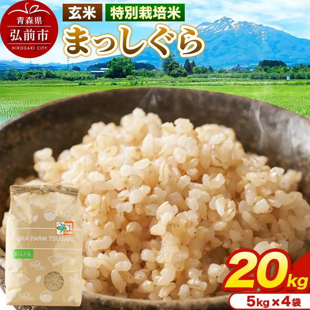 米【特別栽培米】まっしぐら 玄米 20kg（5kg×4袋）令和7年産 青森県弘前市産
