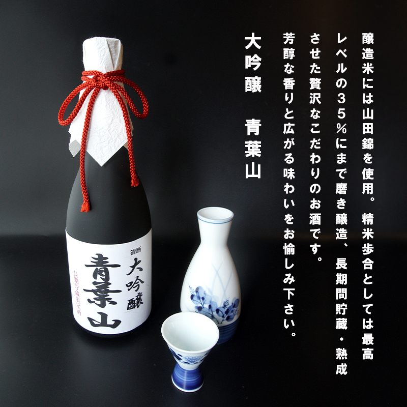 地酒 大吟醸酒 35磨き 青葉山 長期間貯蔵・熟成 720ml 1本 日本酒 熨斗 贈答 ギフト 池田酒造 お酒 アルコール 熟成酒 大吟醸 京都 舞鶴 酒 地酒