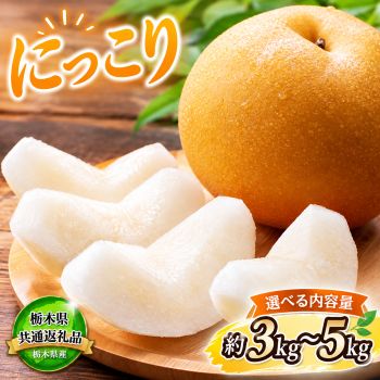 【ふるさと納税】【2026年先行予約】栃木県共通返礼品 宇都宮産 にっこり 3kg 5kg｜ふるさと納税 にっこり 新高 豊水 新品種 なし 梨 甘い 美味しい 果物 共通返礼品 フルーツ デザート 大粒 新鮮 栃木県 那珂川町 送料無料 ご褒美 贈答用 贅沢 スイーツ ふるさと 納税
