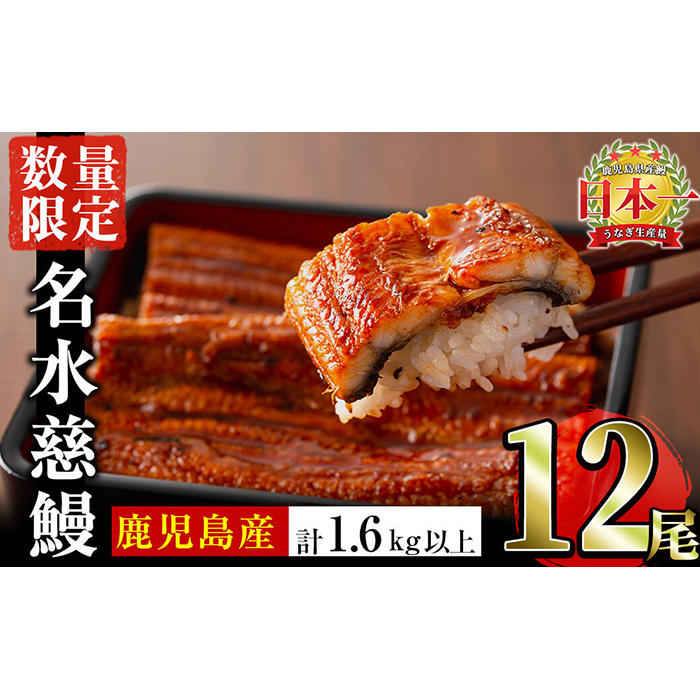 【数量限定】鹿児島県産うなぎ蒲焼 名水慈鰻 12尾(1尾約120g以上)＜計約1.6kg以上＞ f2-003